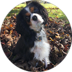 Profile photo of Erica F