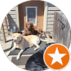 Profile photo of Shirley Humburg