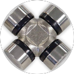 Profile photo of Joshua Yang