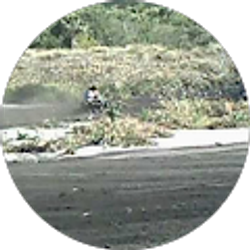 Profile photo of Ricky Woods