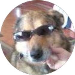 Profile photo of Debbie Badgley