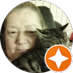 Profile photo of Jenene Sullivan