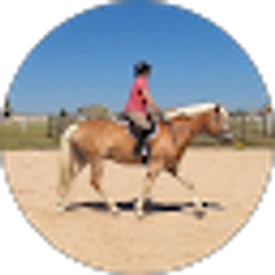 Profile photo of Robin Allen