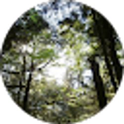 Profile photo of catherine turner