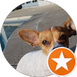 Profile photo of Em Tee