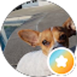 Profile photo of Em Tee