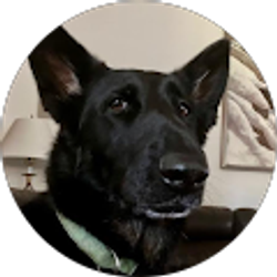 Profile photo of Toby Harris