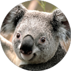 Profile photo of Omar Roman