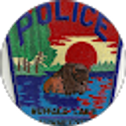 Profile photo of Buffalo Lake Police