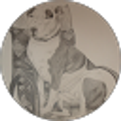 Profile photo of Debra Donato