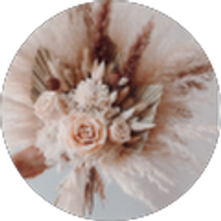 Profile photo of thai teeaaa