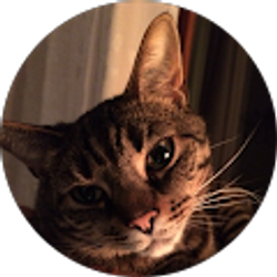 Profile photo of Stacy Dickey