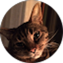 Profile photo of Stacy Dickey
