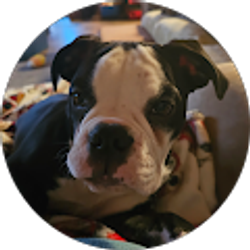 Profile photo of Robin Holston