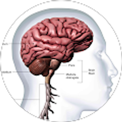 Profile photo of Janey Doe