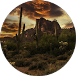 Profile photo of Janice Christensen