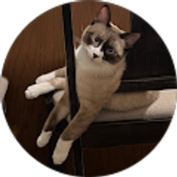 Profile photo of Sophie Khang