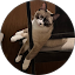 Profile photo of Sophie Khang