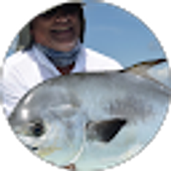 Profile photo of Alan Ezrin