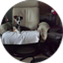 Profile photo of linda lee