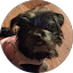 Profile photo of Lynell Hall