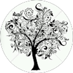 Profile photo of Kay Bee