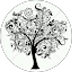Profile photo of Kay Bee