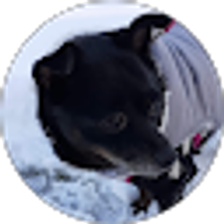 Profile photo of Kelly Torres