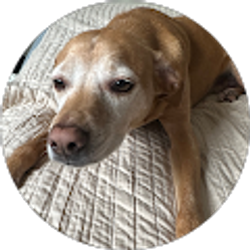 Profile photo of KRP