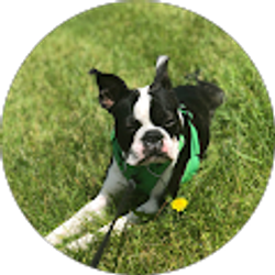 Profile photo of Dawn Conger