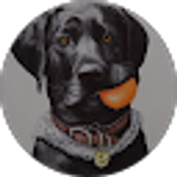 Profile photo of Dale Huddleston