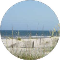 Profile photo of Linda R