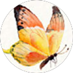 Profile photo of deelopez021