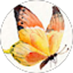 Profile photo of deelopez021