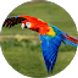 Profile photo of Jennifer Shockley
