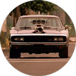 Profile photo of Dom