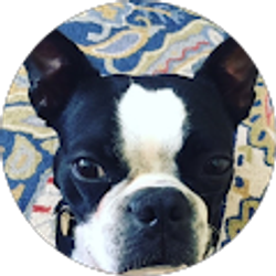 Profile photo of Eddie Rego