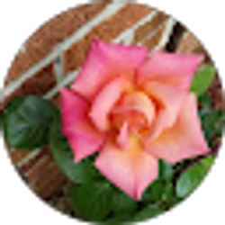 Profile photo of Wendi Chenault