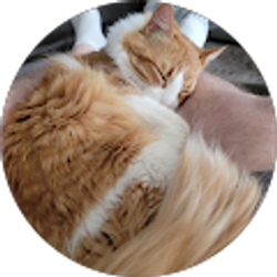 Profile photo of Mark Uptergrove