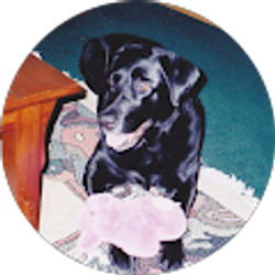 Profile photo of Maria Shields