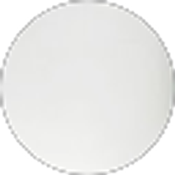 Profile photo of Shannon Nicholas