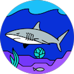 Profile photo of Miguel Polo