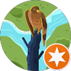 Profile photo of Gary Wild (Grayson)