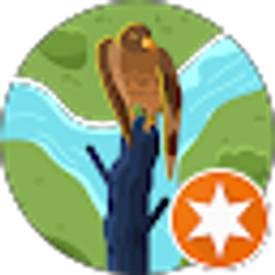 Profile photo of Gary Wild (Grayson)