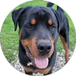 Profile photo of jay steeb