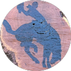 Profile photo of Monica Pearce