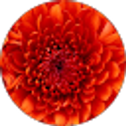 Profile photo of Jasmine .W