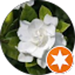 Profile photo of Cynthia McNeal