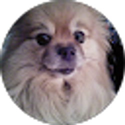 Profile photo of Anne Marie McNamara