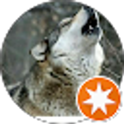 Profile photo of P Dove